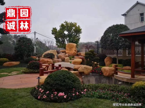 黃蠟石草坪汀步擺放觀賞造景設計 景觀魚池圍邊駁岸點綴石材