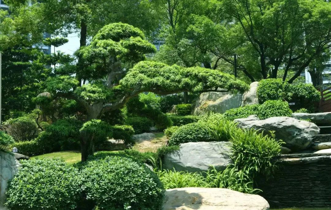 園林設(shè)計落地難的問題,被室內(nèi)設(shè)計師說出來了.