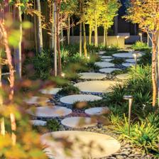 園林景觀設(shè)計(jì)的自然美!