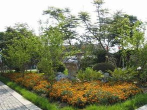 廣州園林綠化與景觀設(shè)計(jì) 專(zhuān)業(yè)服務(wù)全解析