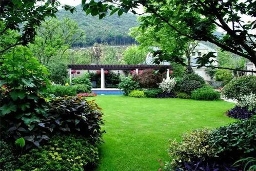 園林景觀設(shè)計(jì)入門指南 小白輕松上手的設(shè)計(jì)思路與實(shí)踐